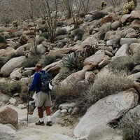 A man hiking on one of the many trails in Anza Borrego State Park.