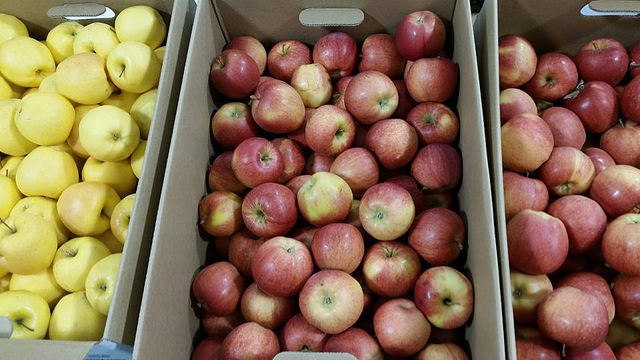 Three different types of apples in their boxes on a table at the Dawson Creek Farmers' Market.