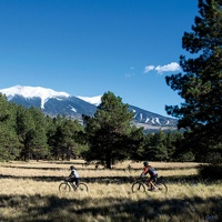 5 bikers on Peak-a-View trail in the Flagstaff Nordic Center, Arizona. 