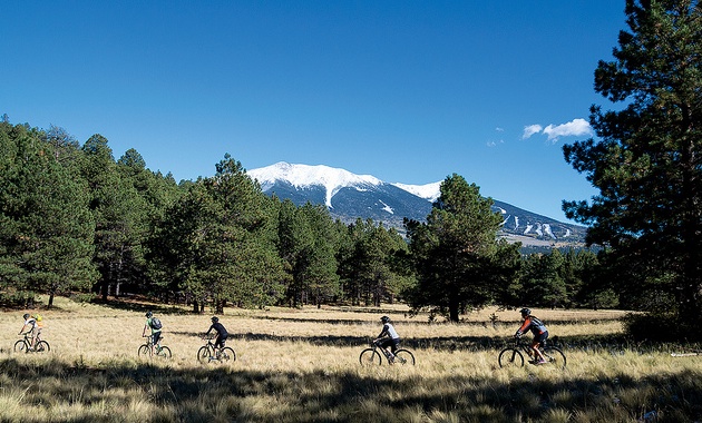 5 bikers on Peak-a-View trail in the Flagstaff Nordic Center, Arizona.