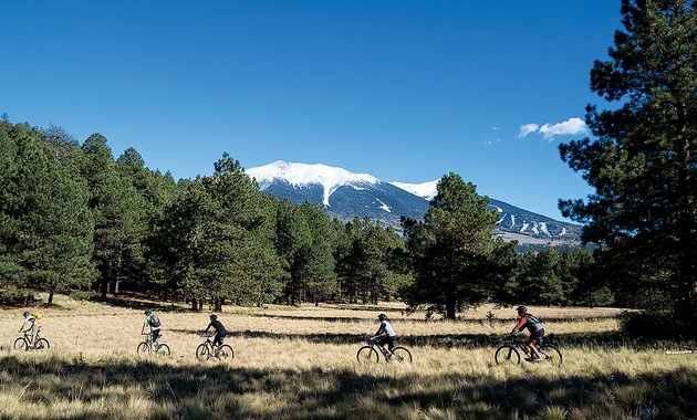 5 bikers on Peak-a-View trail in the Flagstaff Nordic Center, Arizona. 