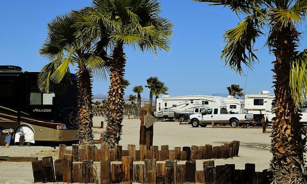 Avi RV park.