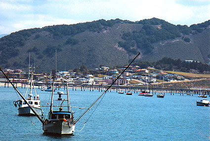 boats docking