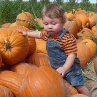 A Baby standing surrounded by pumpkins.