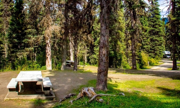 campground in Barkerville BC