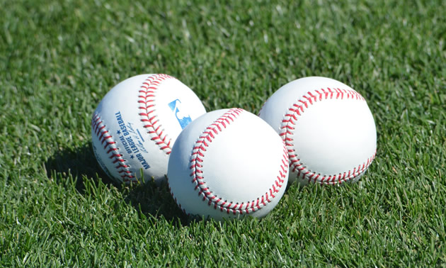 Arizona's RV resorts are popular with spring training enthusiasts.