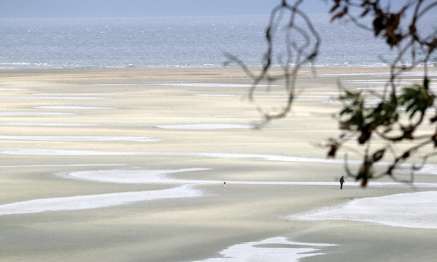 A picture showing the beach with the tide out, there a large sandy area with pockets of water that goes on until it reaches the ocean. 