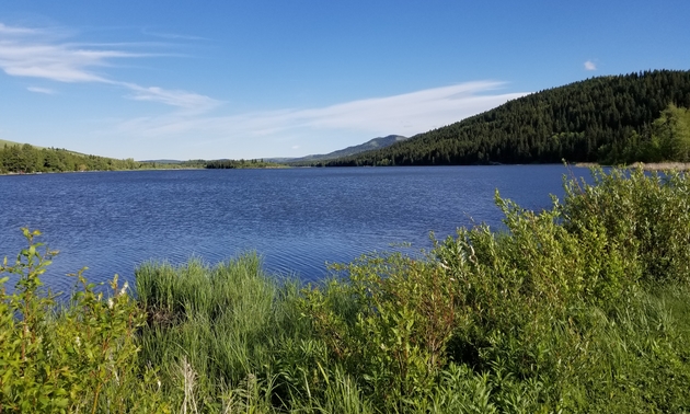 Beauvais Lake Provincial Park, Alberta