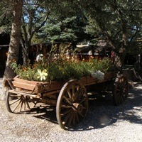 The entrance of Beaver Canyon Campground has an old wooden wagon full of flowers.