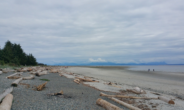 Shown is a beach with a cloudy sky and people walking in the sand.