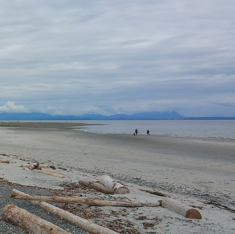 Shown is a beach with a cloudy sky and people walking in the sand.