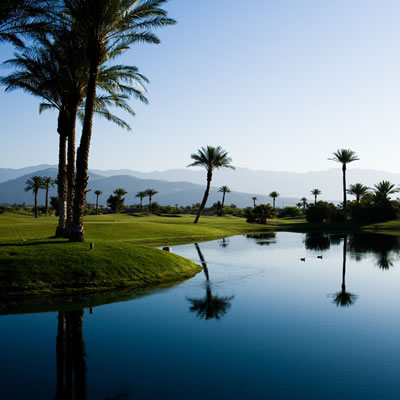 Picture of the Springs at Borrego RV Resort. 