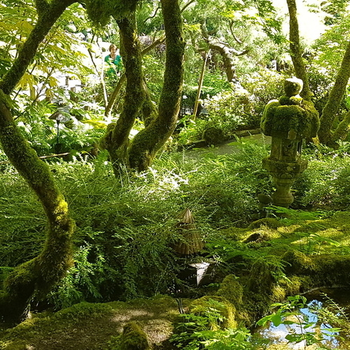 Butchart botanical garden
