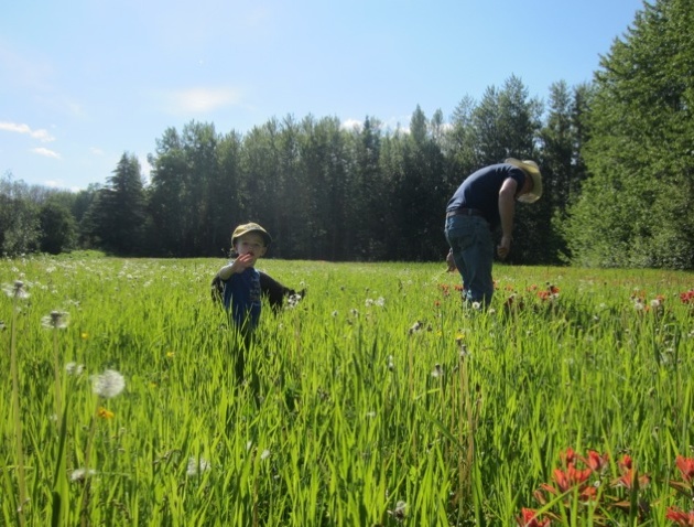 Cranbrook Hill is a beautiful, picturesque landscape of rolling meadows.