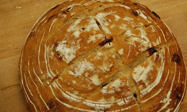 Rye Cranberry Bread