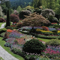 The Sunken Garden was the original garden site in 1904. 