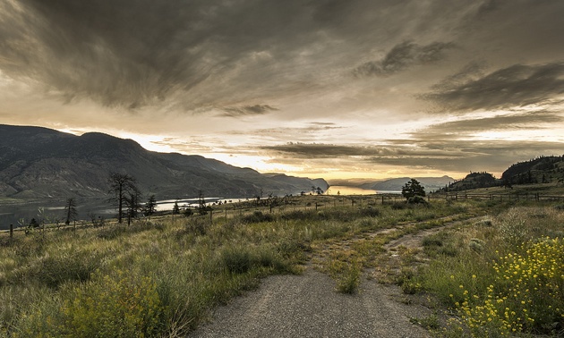Summer sunrise on Kamloops lake. this is the BC desert country, driving from Cache Creek on Highway 97 there was lots of rain during the spring so the sage and grass were still green. the yellow flowers were still blooming as well. 