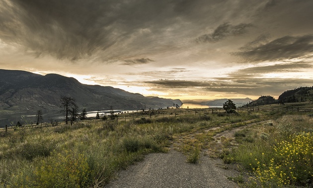 Summer sunrise on Kamloops lake. this is the BC desert country, driving from Cache Creek on Highway 97 there was lots of rain during the spring so the sage and grass were still green. the yellow flowers were still blooming as well.