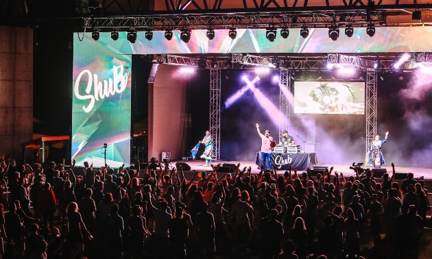 crowd at a concert and a performer on stage playing music