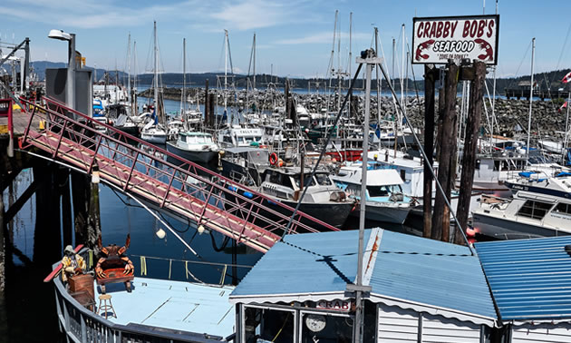 Rows and rows of boats are moored on the shores of Campbell River on Vancouver Island.