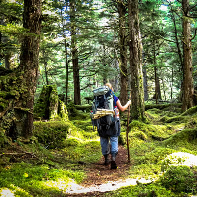 A trail through old growth forest at Camp Fife, Haida Gwaii, BC. 