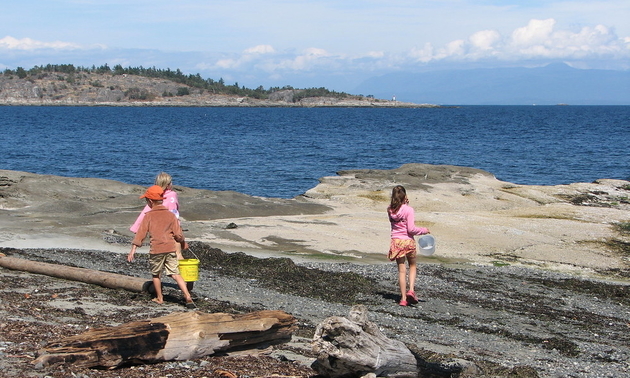 kids on the beach