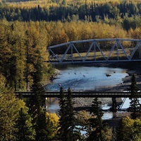 View of bridge and rail crossing in autumn colours at Pine River near Chetwynd, B.C.