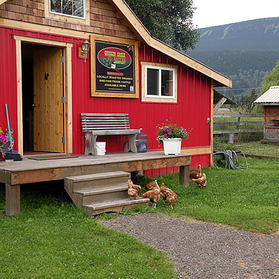 A red coffee roasting shop with chickens in the front yard. 