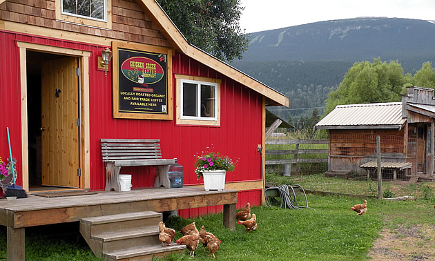 A red coffee roasting shop with chickens in the front yard. 