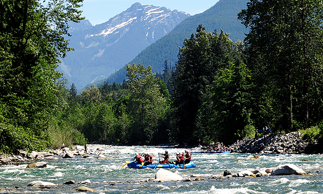 people kayaking in river