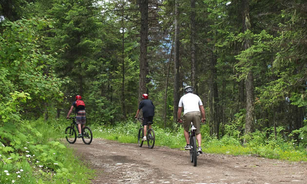 people riding their bikes at Christina Lake, BC.
