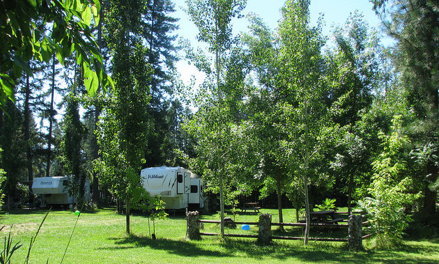 Shady spots at Parklane Resort & RV Park