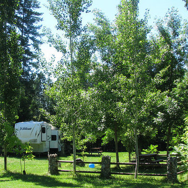 Shady spots at Parklane Resort & RV Park