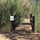 bridge in a wildlife area