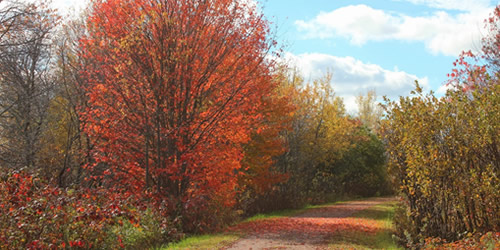 Confederation Trail, Prince Edward Island