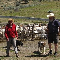 Conrad and Donna Lindblom with their goats.