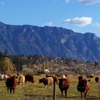 The Skimmerhorn Mountain range towering over a farm near Creston, B.C.