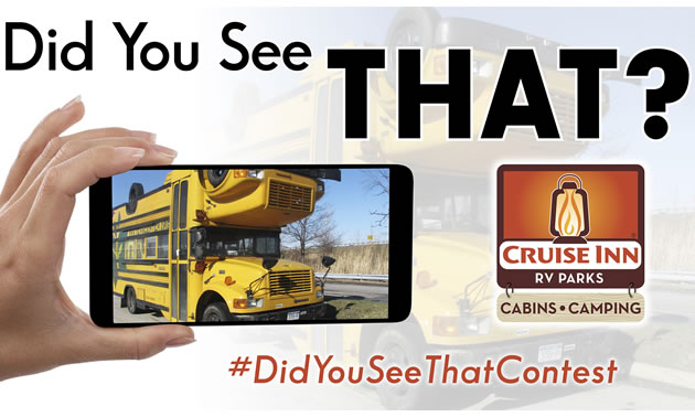 Graphic of the Cruise Inns 'Did You See That?' contest.