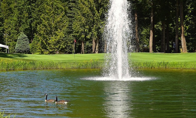 The 18th at Cultus Lake.