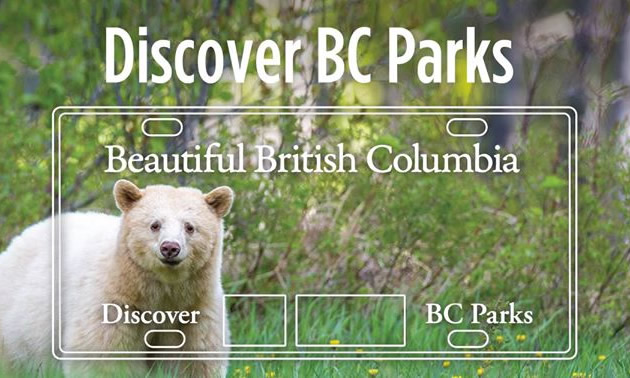 Discover BC Parks licence plate. 