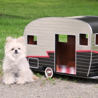 A small white dog sitting outside of a custom made vintage RV.