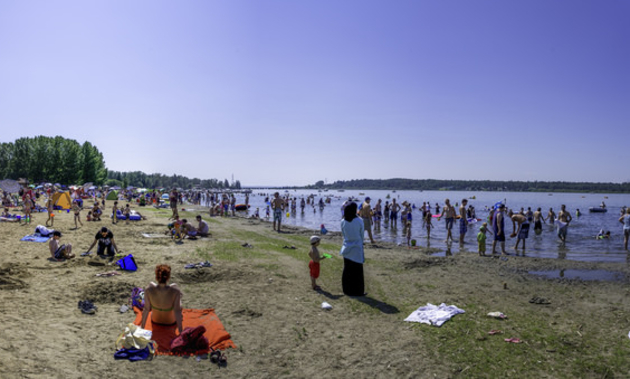 people on the beach 