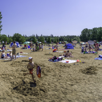 people on the beach 