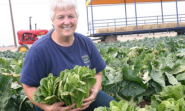 woman holding a head of lettuce