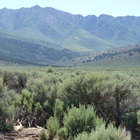 mountains and bushes in Eureka Nevada