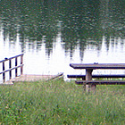 trees and lake by a hiking trail