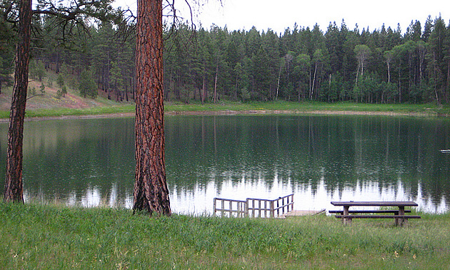 trees and lake by a hiking trail