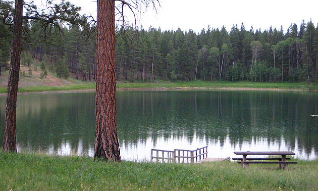 lake with trees around it and a bench at the side