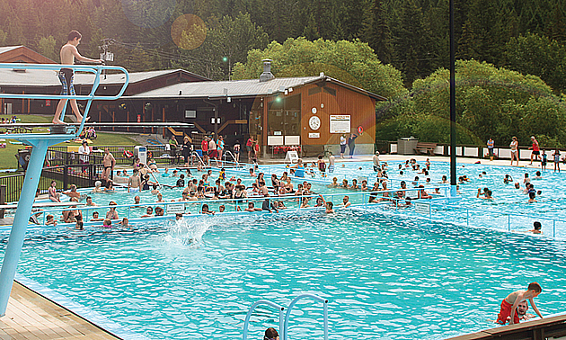 people swimming in a pool