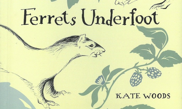 book titled Ferrets Underfoot